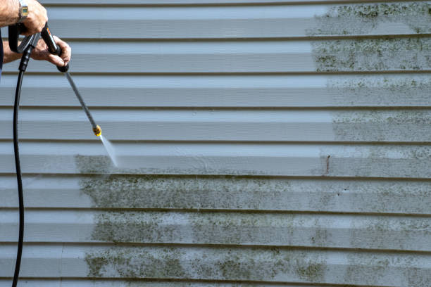 Best Hoarding Cleanup  in North Auburn, CA